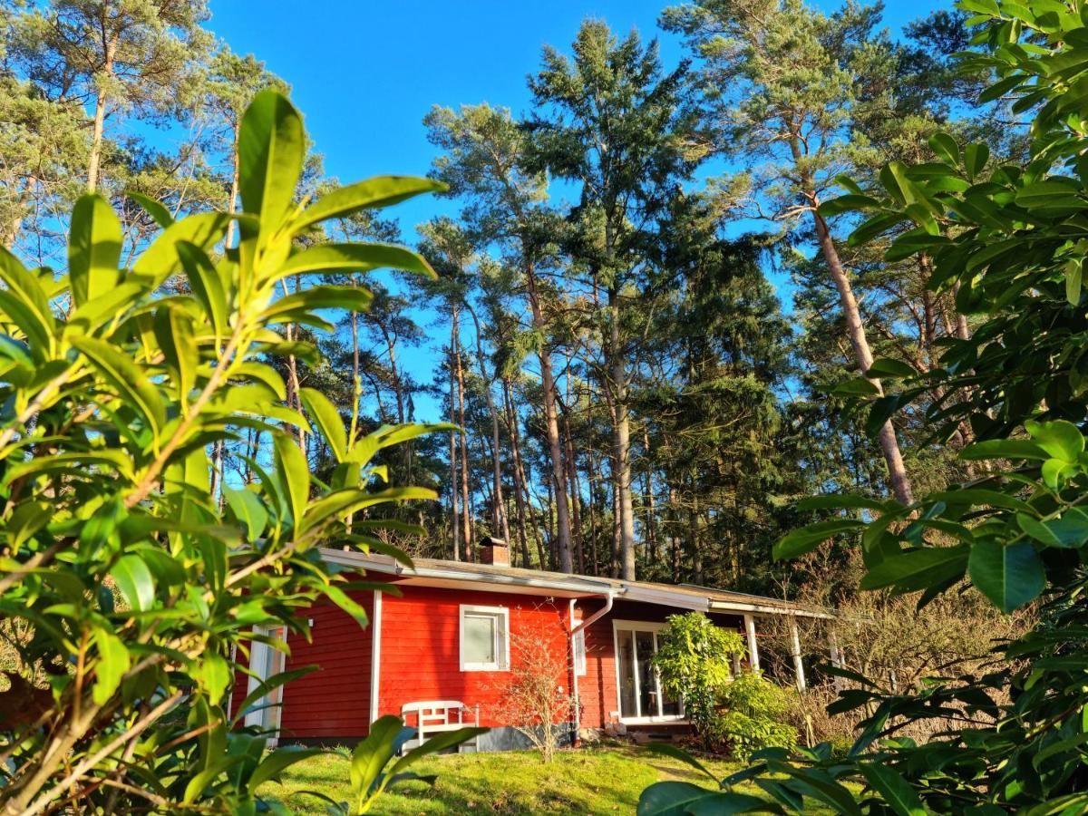 Waldhaus Doetlingen Ferienhaus Im Naturpark Zewnętrze zdjęcie
