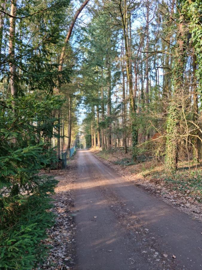 Waldhaus Doetlingen Ferienhaus Im Naturpark Zewnętrze zdjęcie